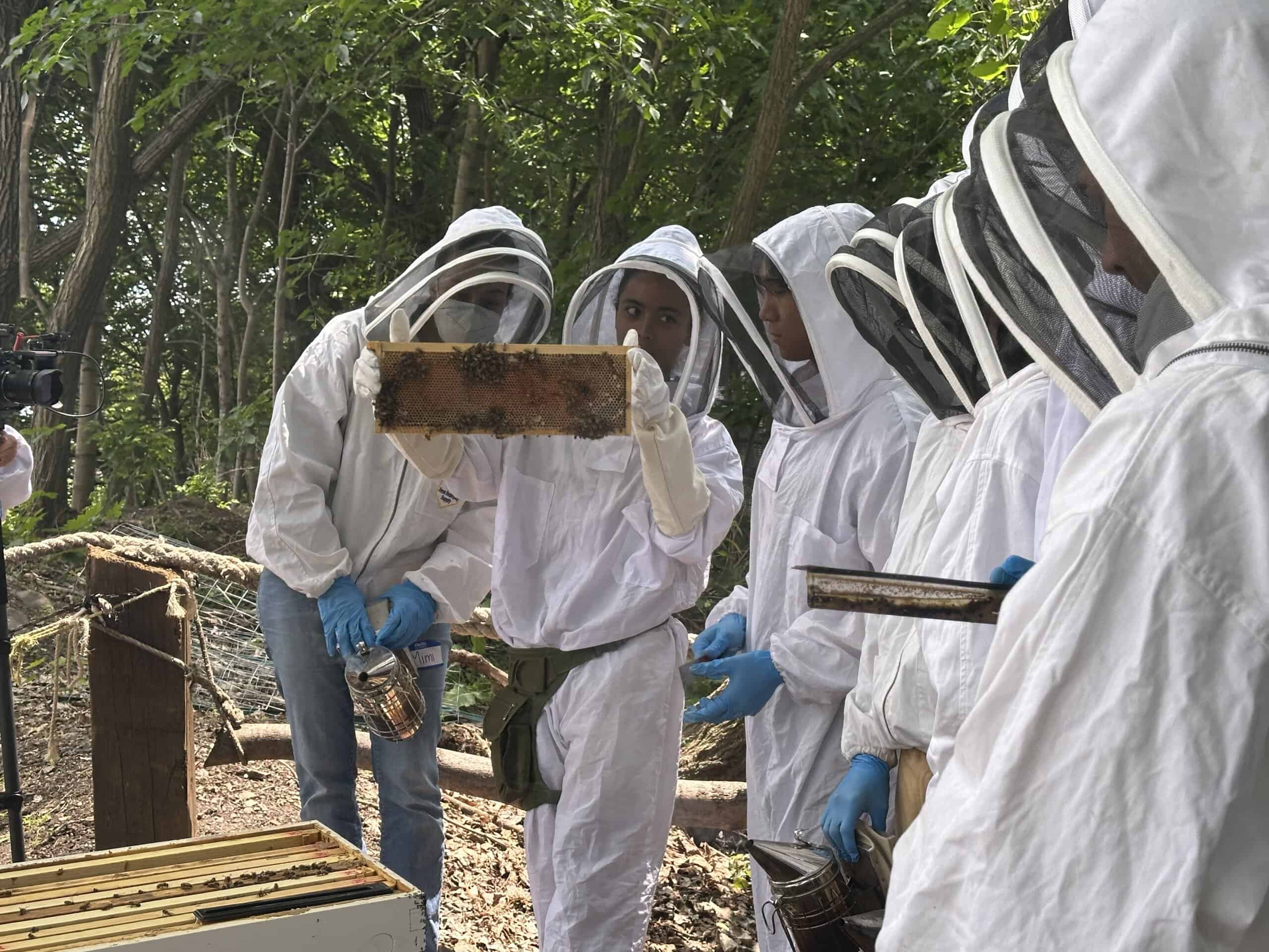 Bee U NYC: Cultivating Green Communities