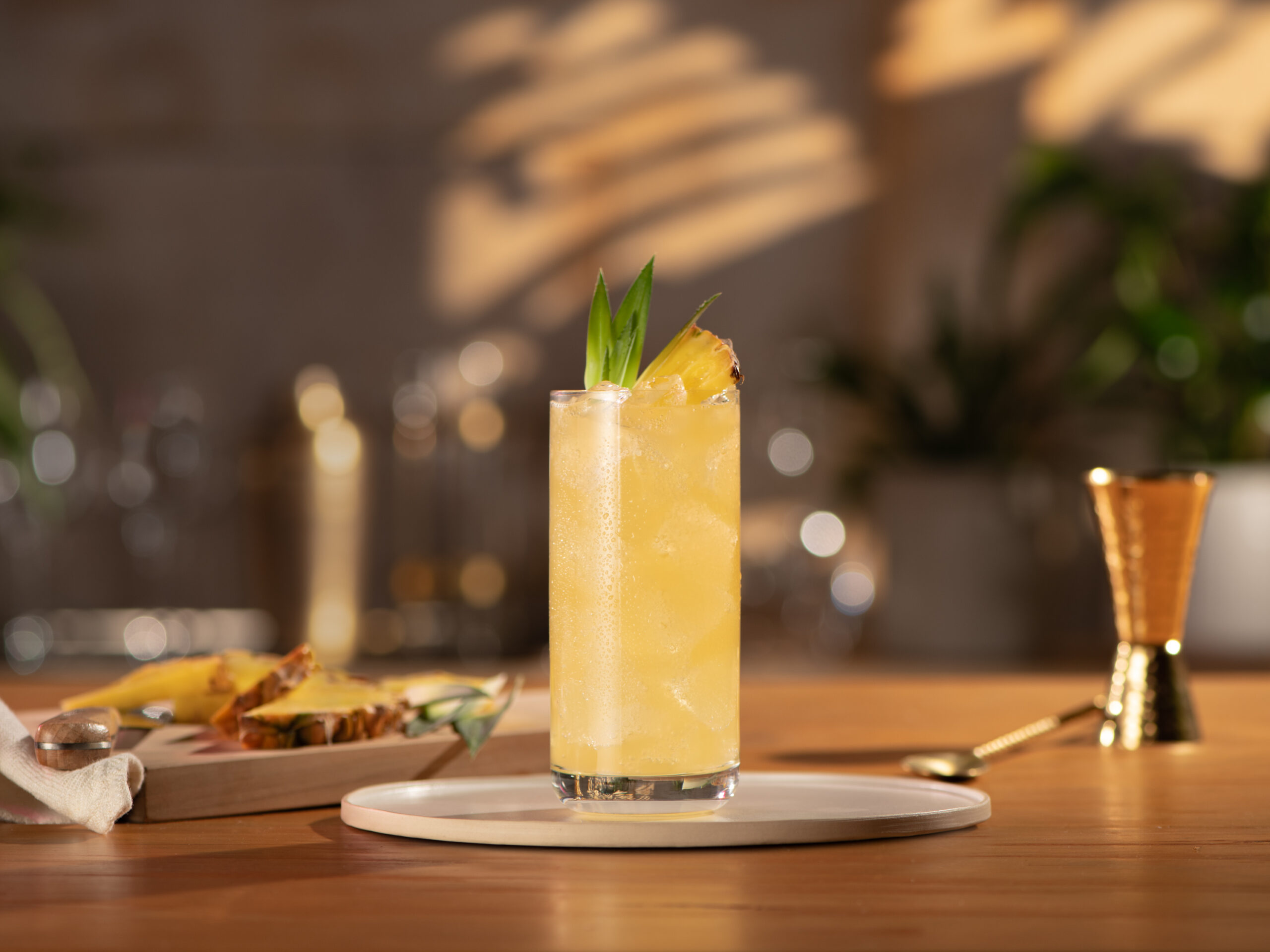 10 Must-Try Refreshing Highballs for Summer