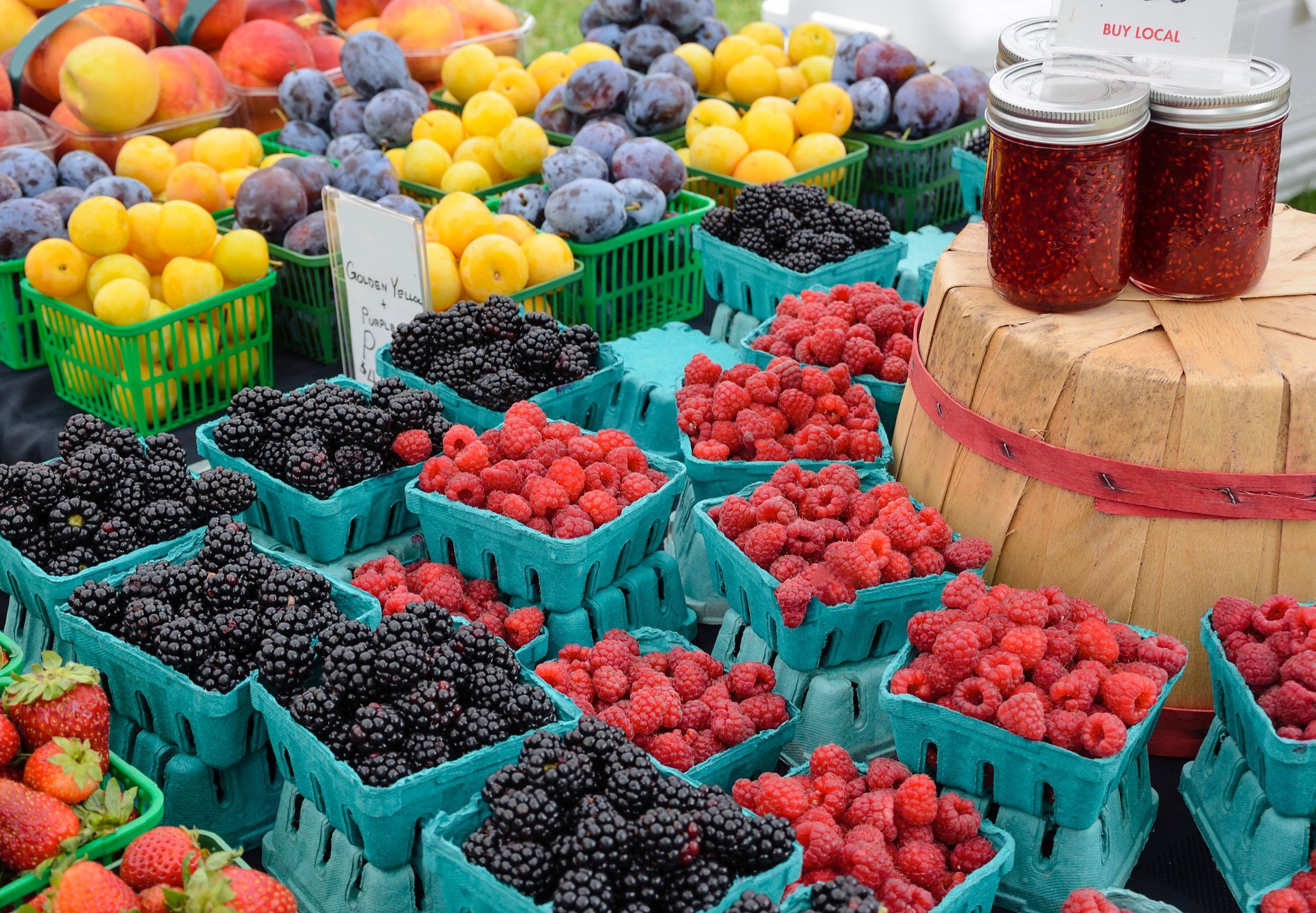 Winnipeg Farmers’ Market & Dessert Dream