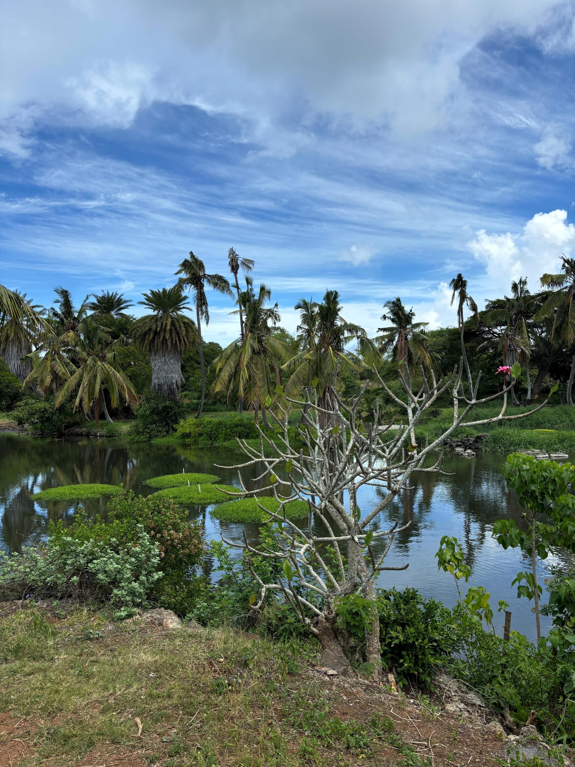 Beyond Aloha: Hawaii’s Essential Travel Word