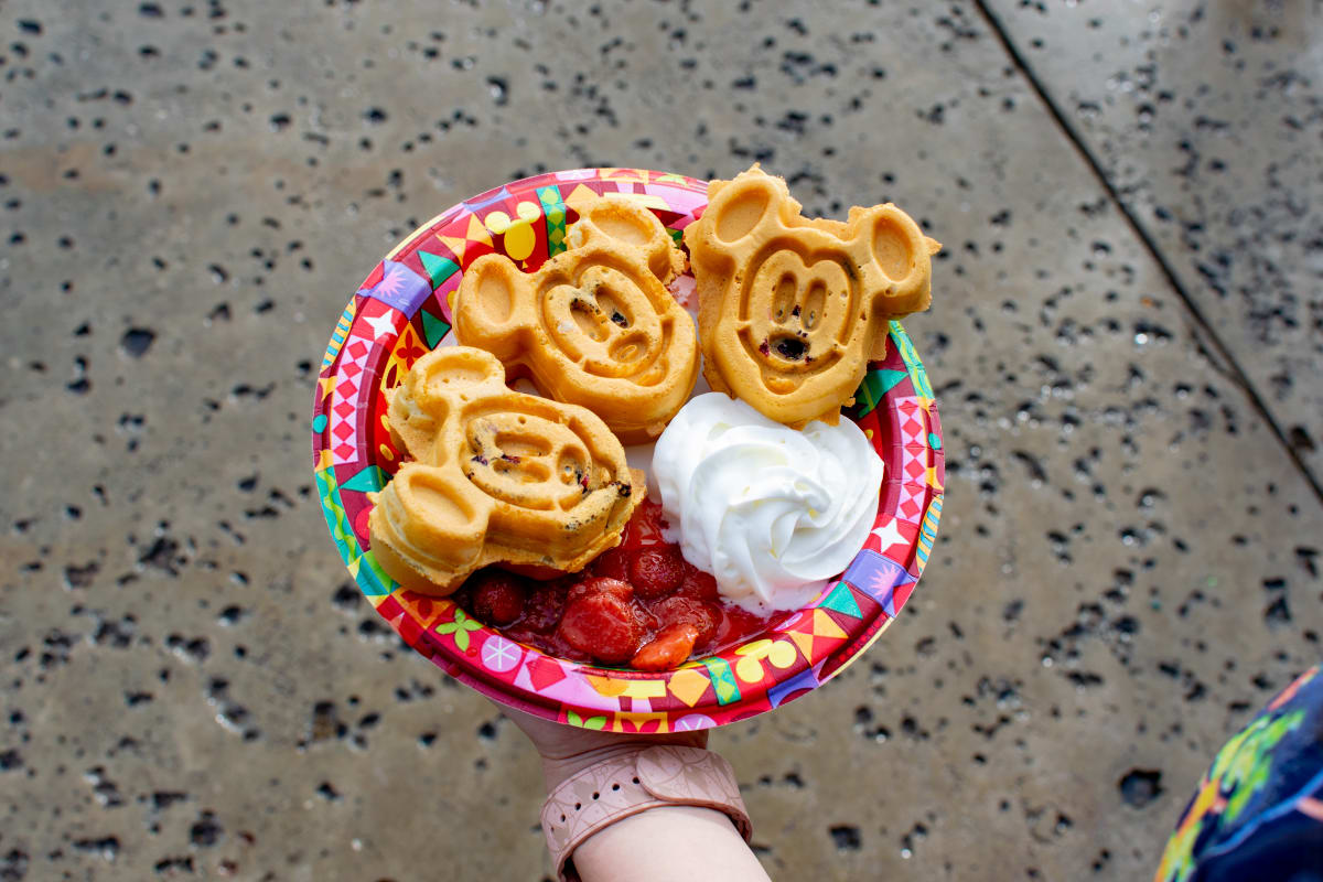 Top Dining Spots at Walt Disney World